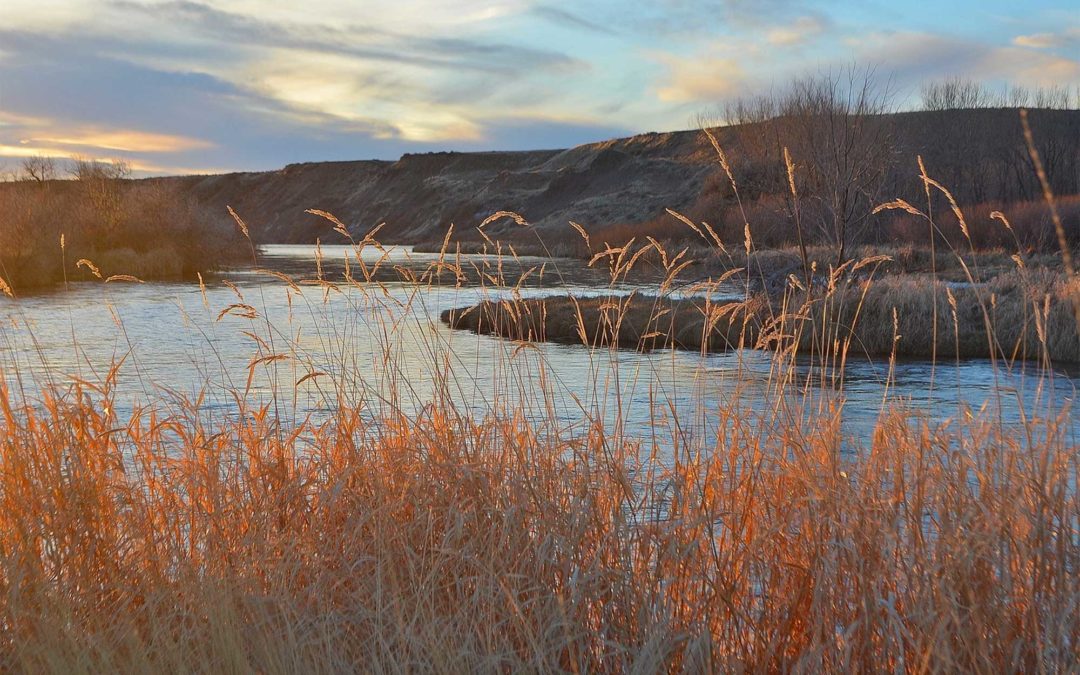 Bighorn River Farm