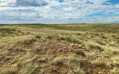 640 acres of grazing land in Musselshell County, MT