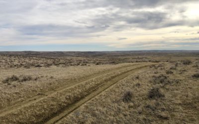 664 Acres in Musselshell County, MT
