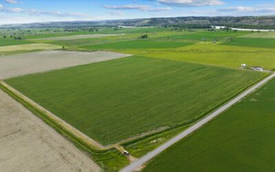 Highly Productive 40-acre irrigated parcel just 25 minutes from Billings