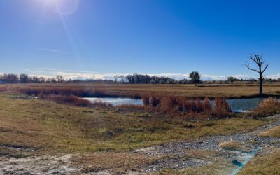 40 Acres with Clark’s Fork River access just 10 minutes from Billings.