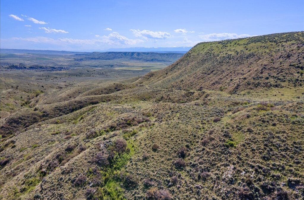 160 Acres on Moser Dome Rd