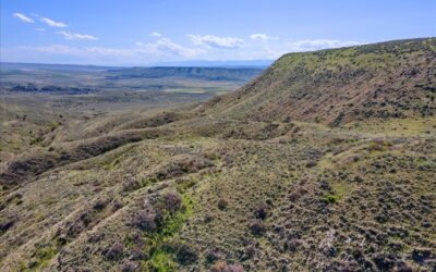 160 Acres on Moser Dome Rd