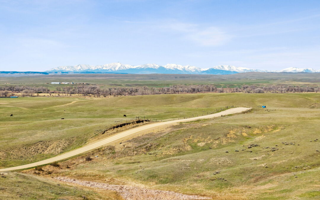 144 Acres in Shawmut, MT