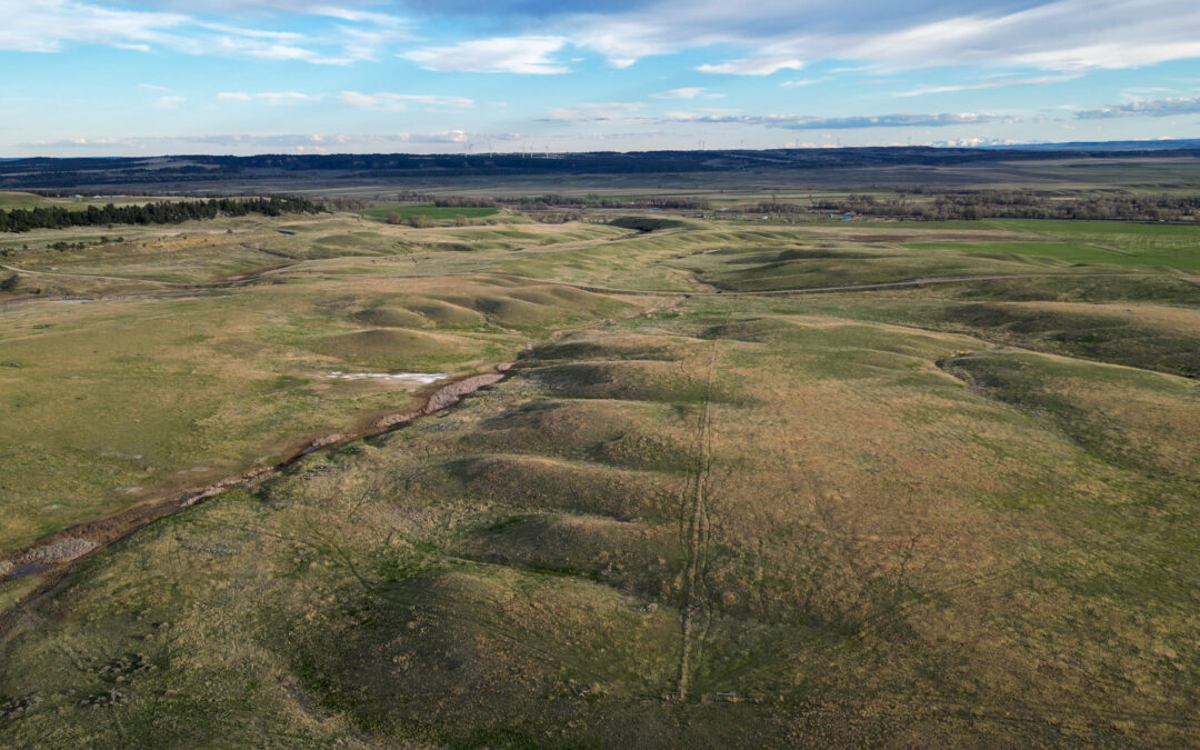 144 Acres in Shawmut, MT